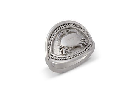 Zodiac Signet ring